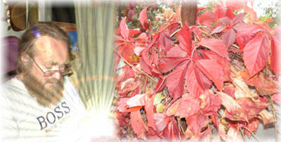 ������ �������