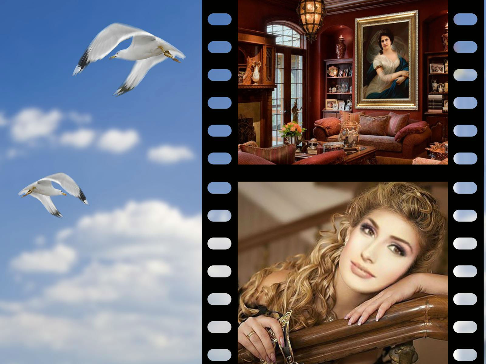 ����� ���������