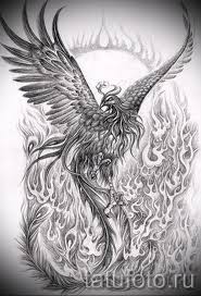 ������ ���������