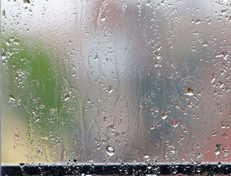 ������ ����������