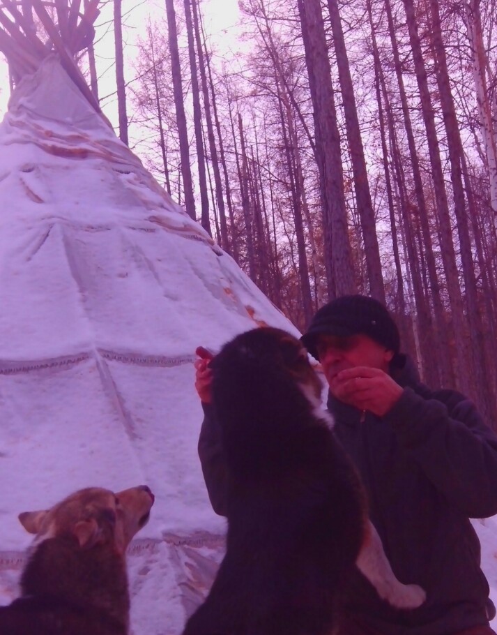 �������� 11