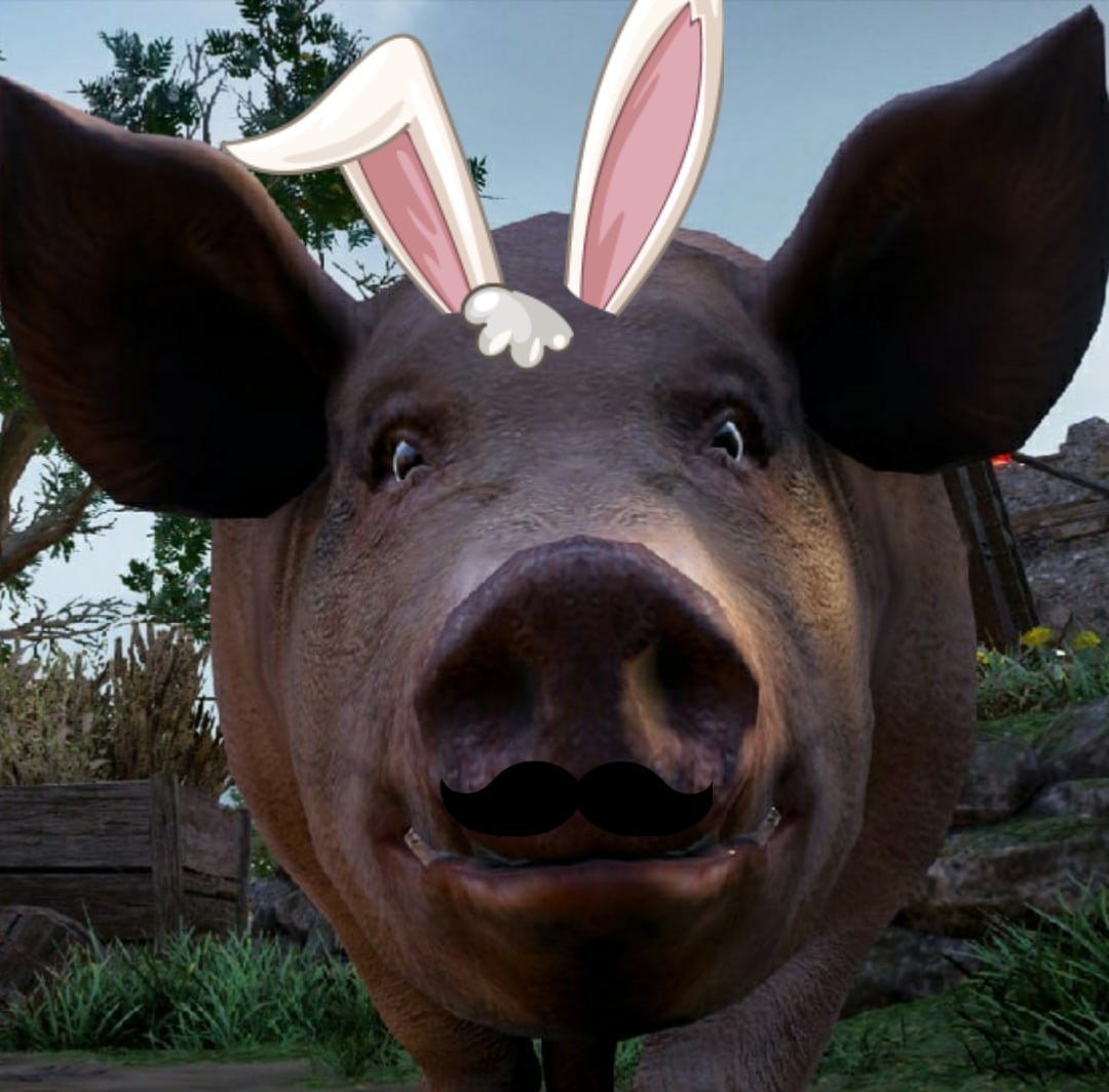 ������ ���������