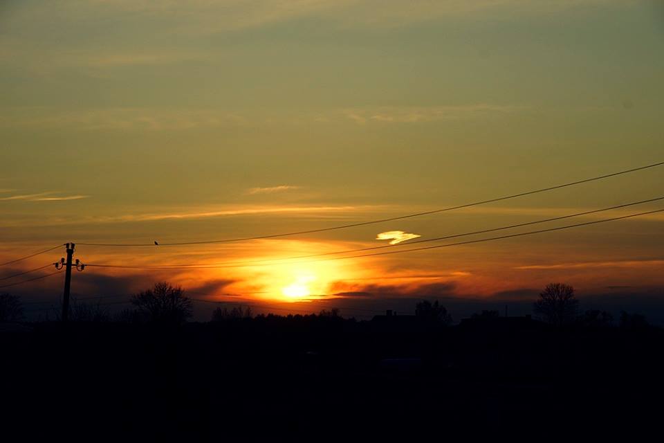 �������� �����������