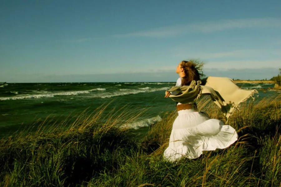 ����� ���������