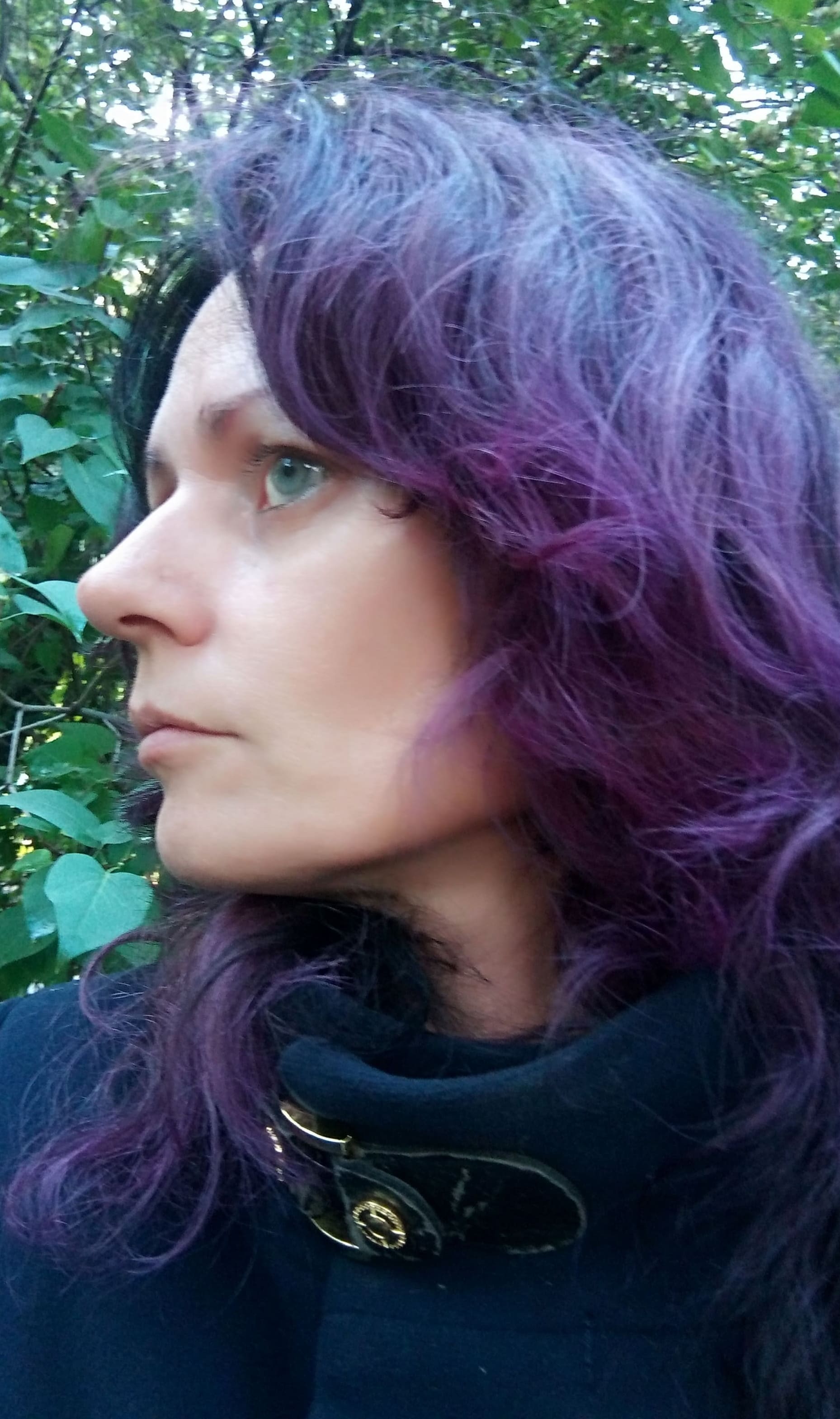 ����� ��������