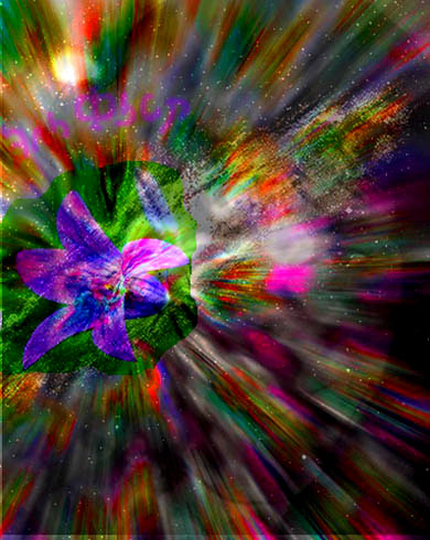 ��� ����