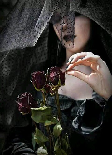 ���� ������������� �����������