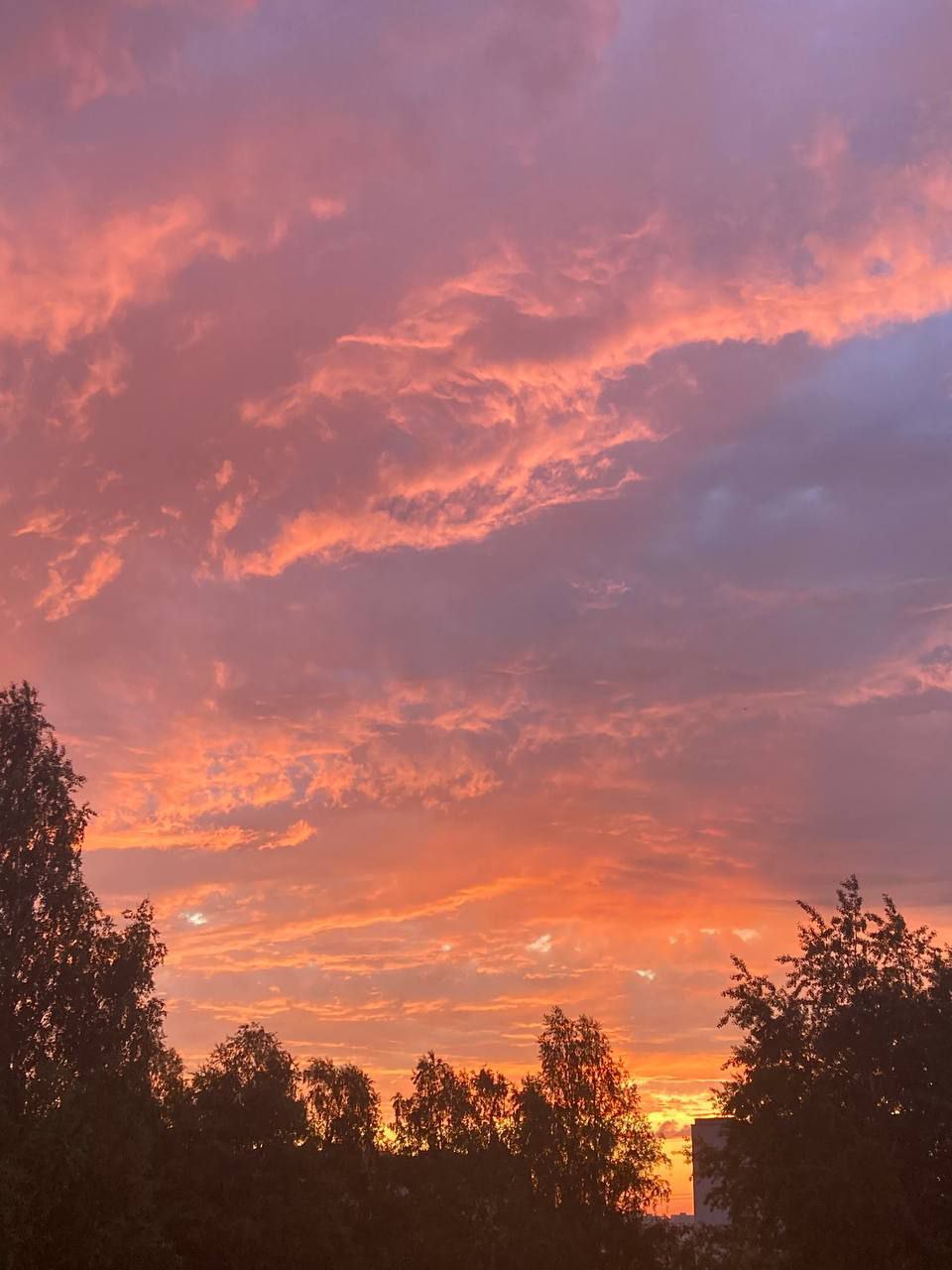 ������ ��