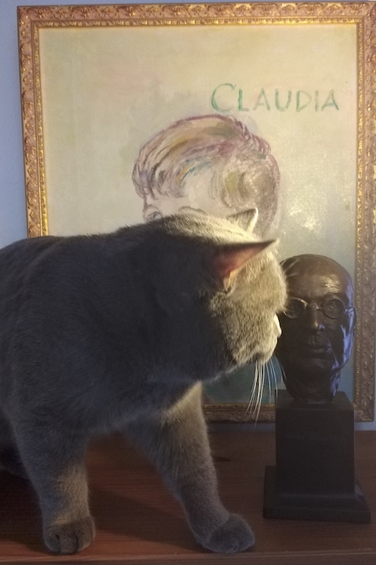 ���� �������