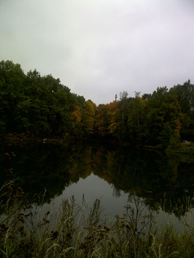 ������� ���