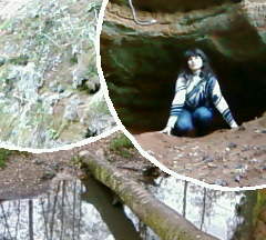 ������� �����������