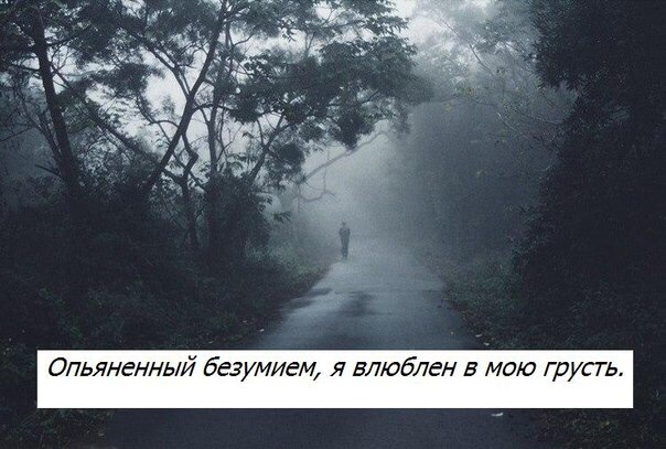 ������ ��������