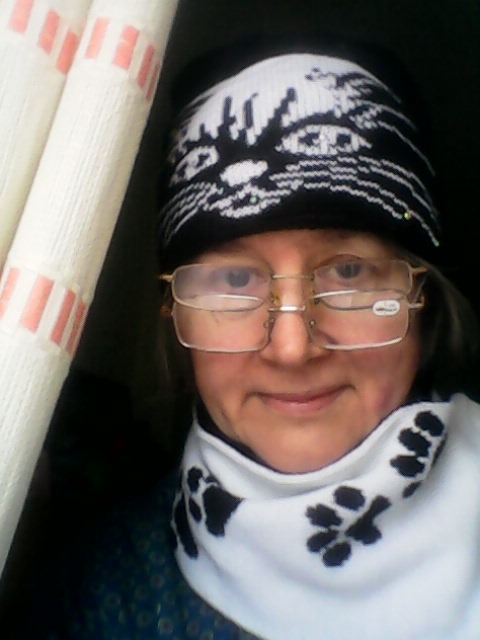 ���� ��������