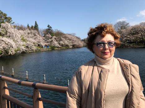 ����� �������-��������