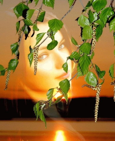 ���� ��������