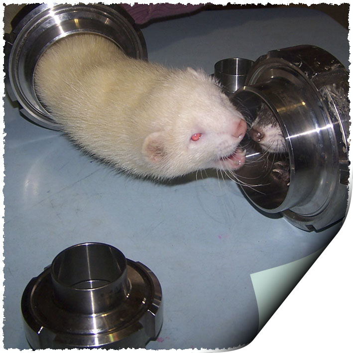 ����� ������