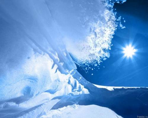 ���� ������