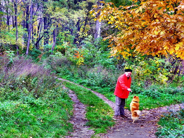 ������� ����������