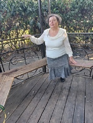 ������� ��������-���������