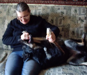 ������� ������