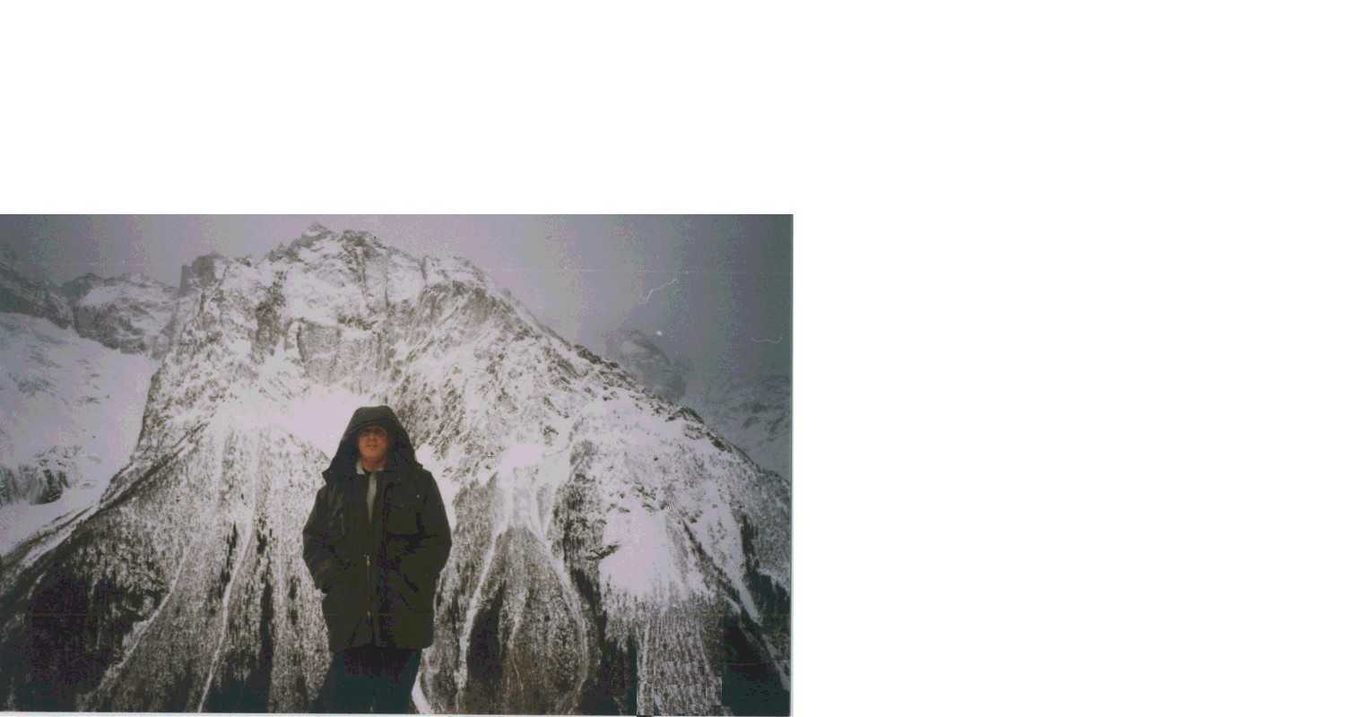 ������ ��������