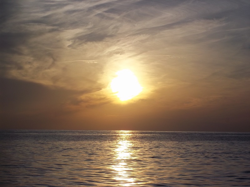 ����� ���