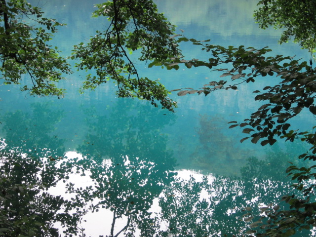 ��������� ������� ��������