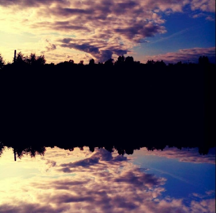 ���� ����������