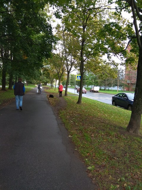 ���� ������