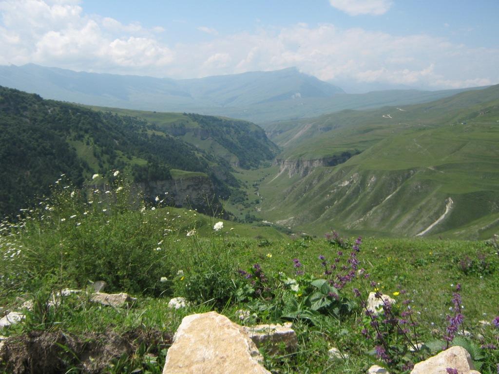 ���� -������ ������