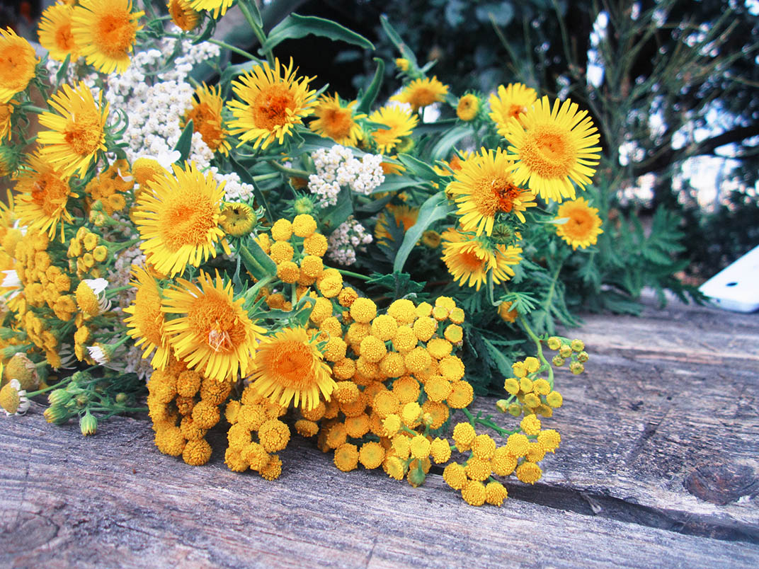 Малюкова Елена Юрьевна