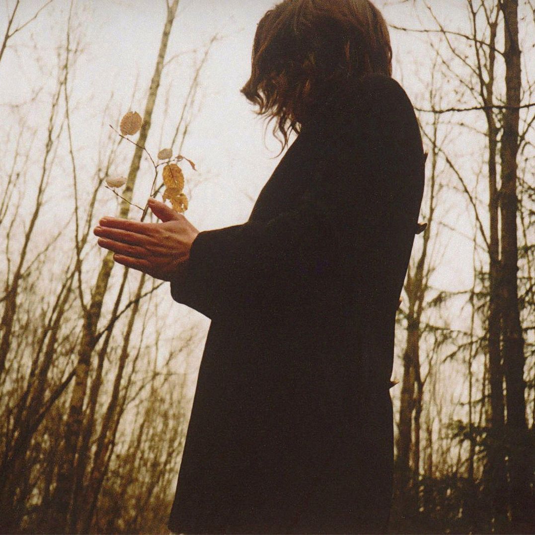 ������ ����