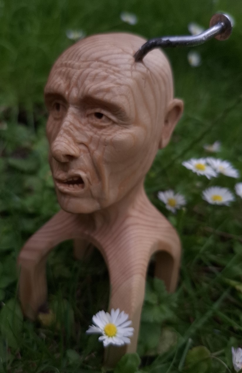 ���� �������