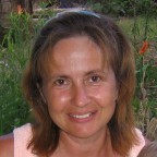 ����� ��������� 12