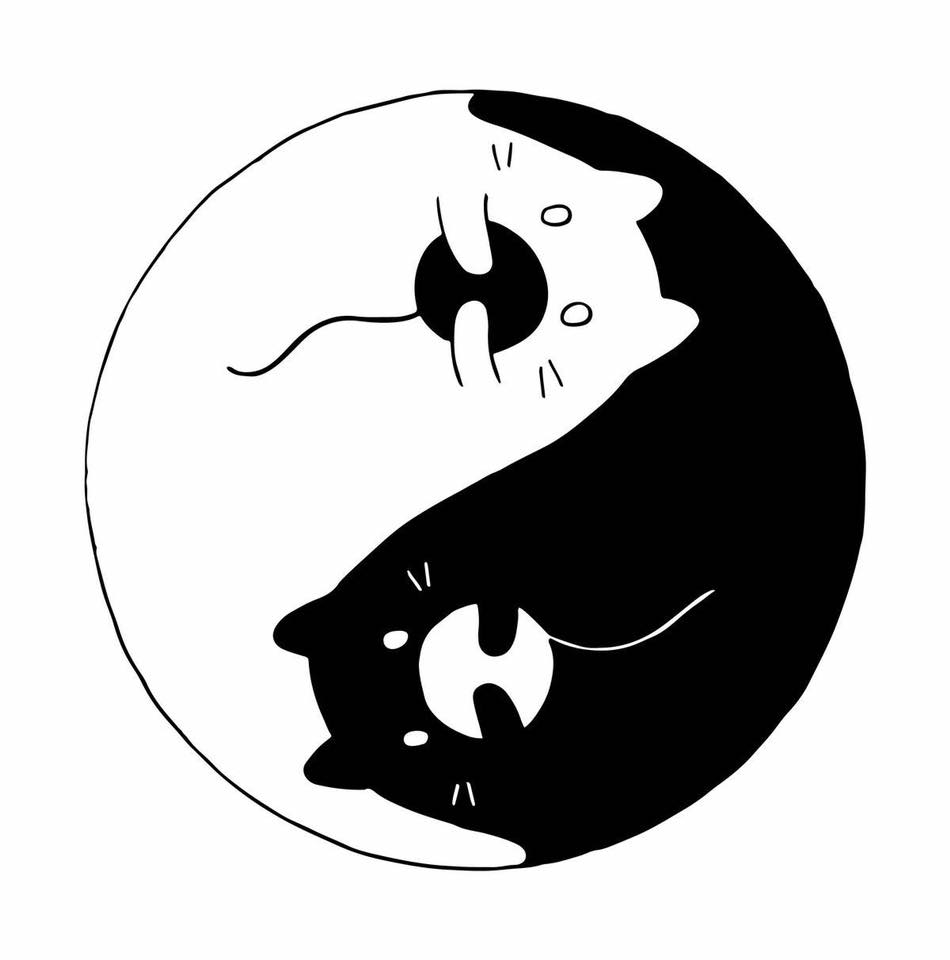 ��� ������