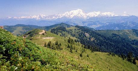 �������� ����������