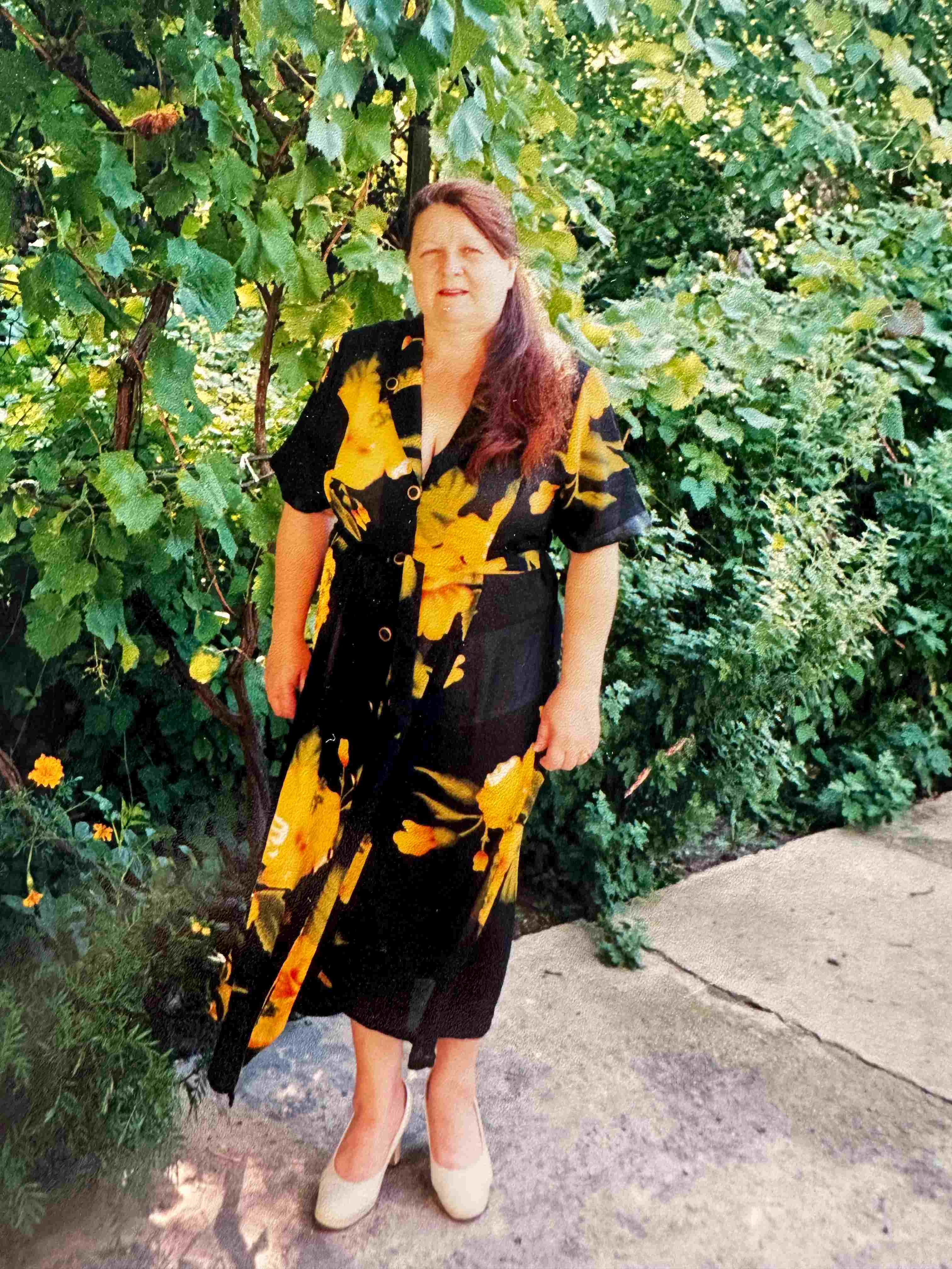 ������� ����������