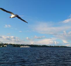 ������� �����