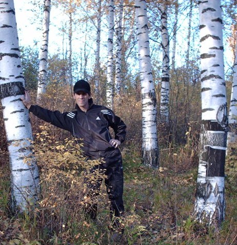 �������� ��������