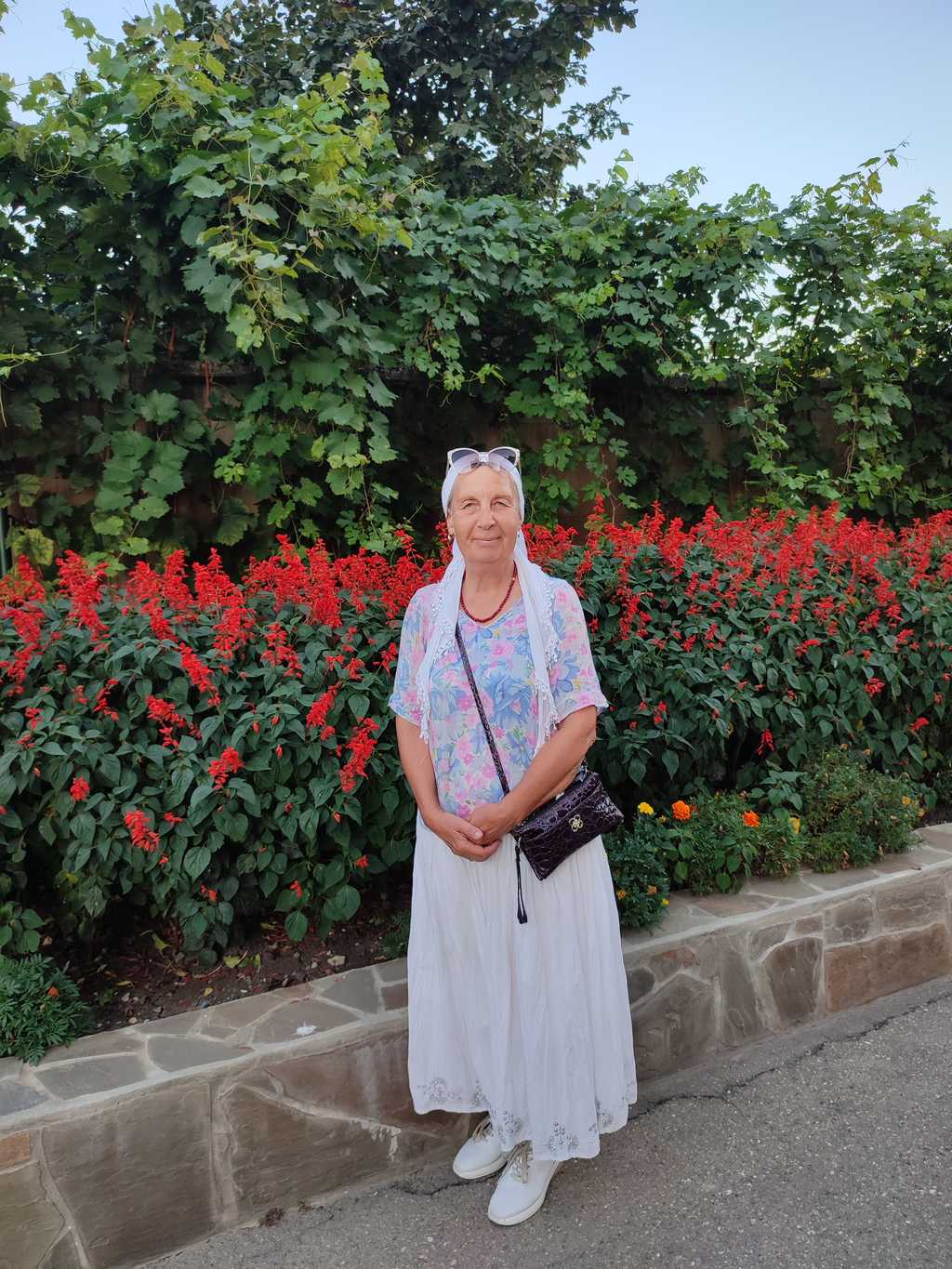 ����� ��������� 11