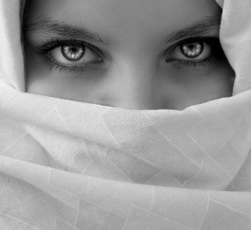 ���� ������������