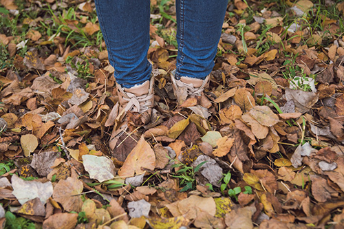 �� �����