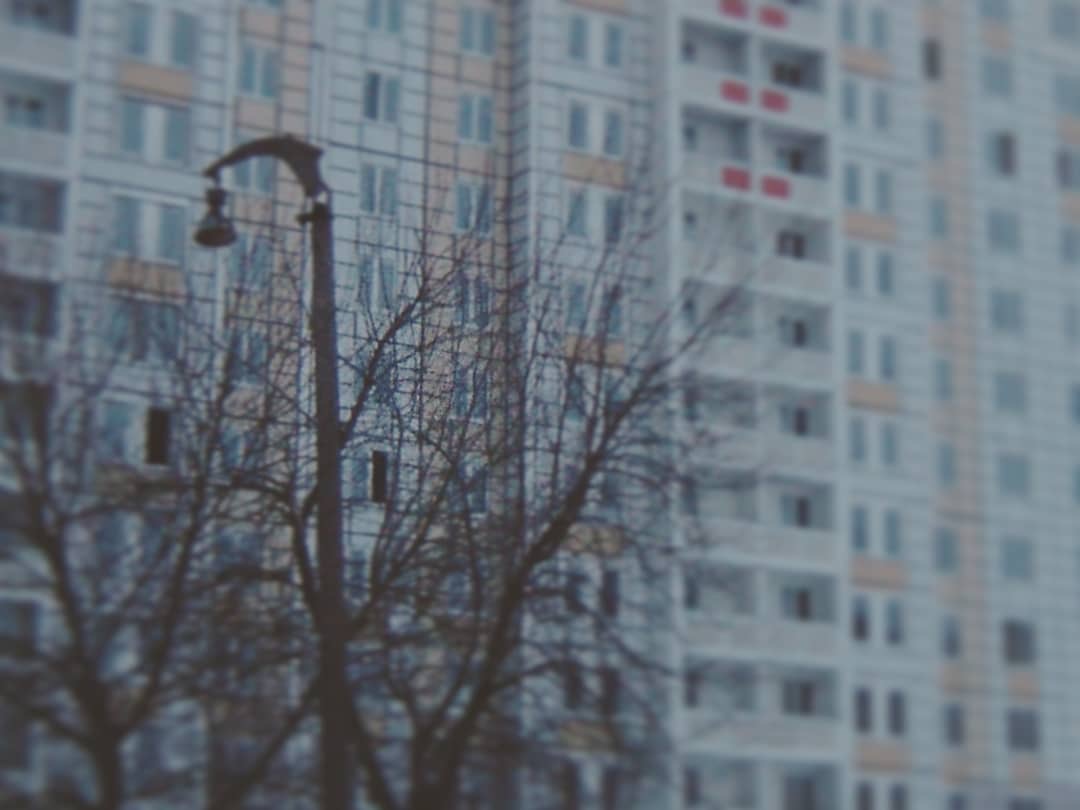 Фаина Сокольникова