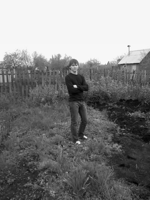 ���� ���������