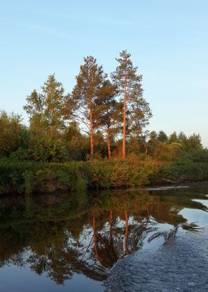 �������� ����