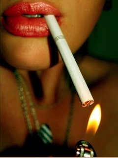 ���� ����������