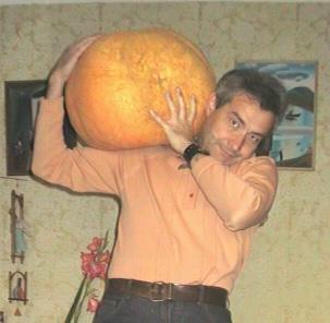 ������ ������