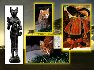 ������� ����������� �����