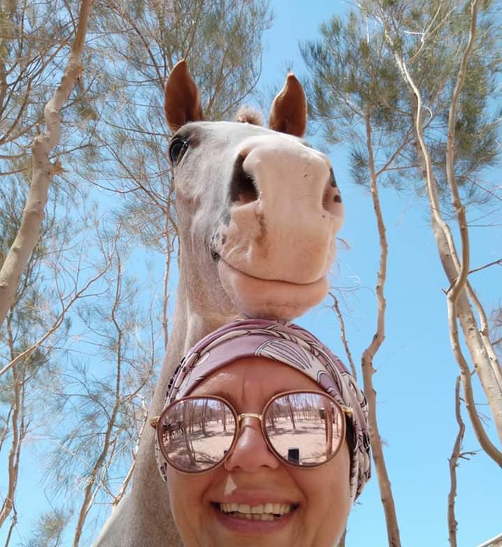 ���� ��������