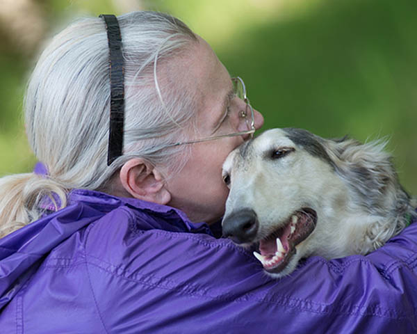 �������� ����������� �����������